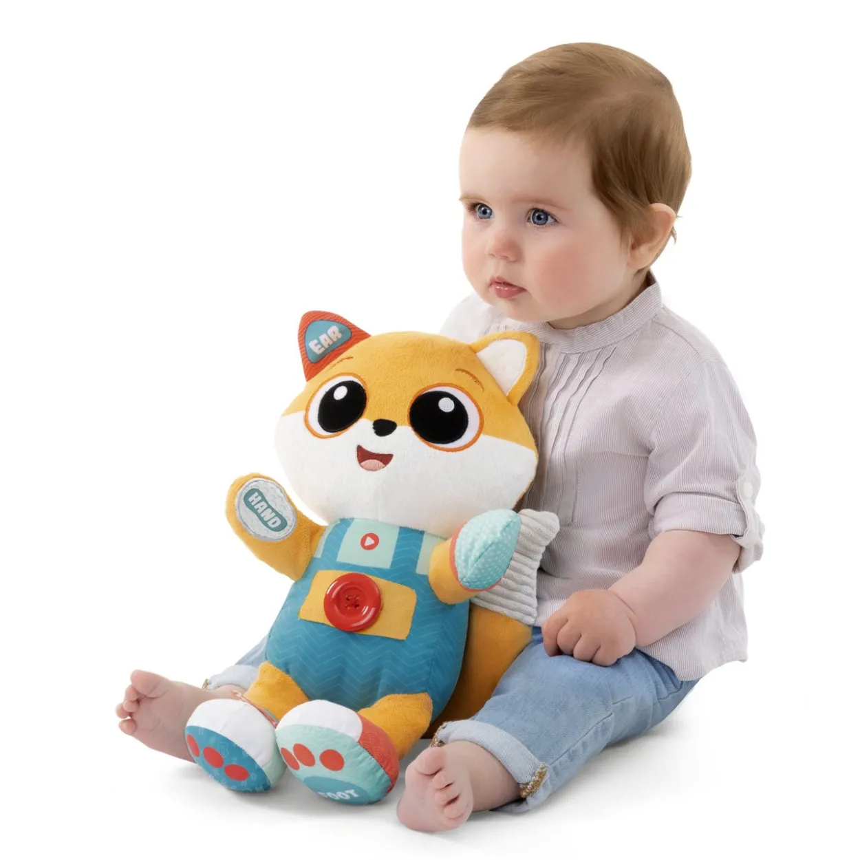 ABC Foxy la Volpe