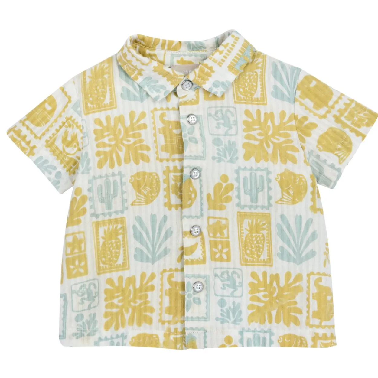 Camicia manica corta