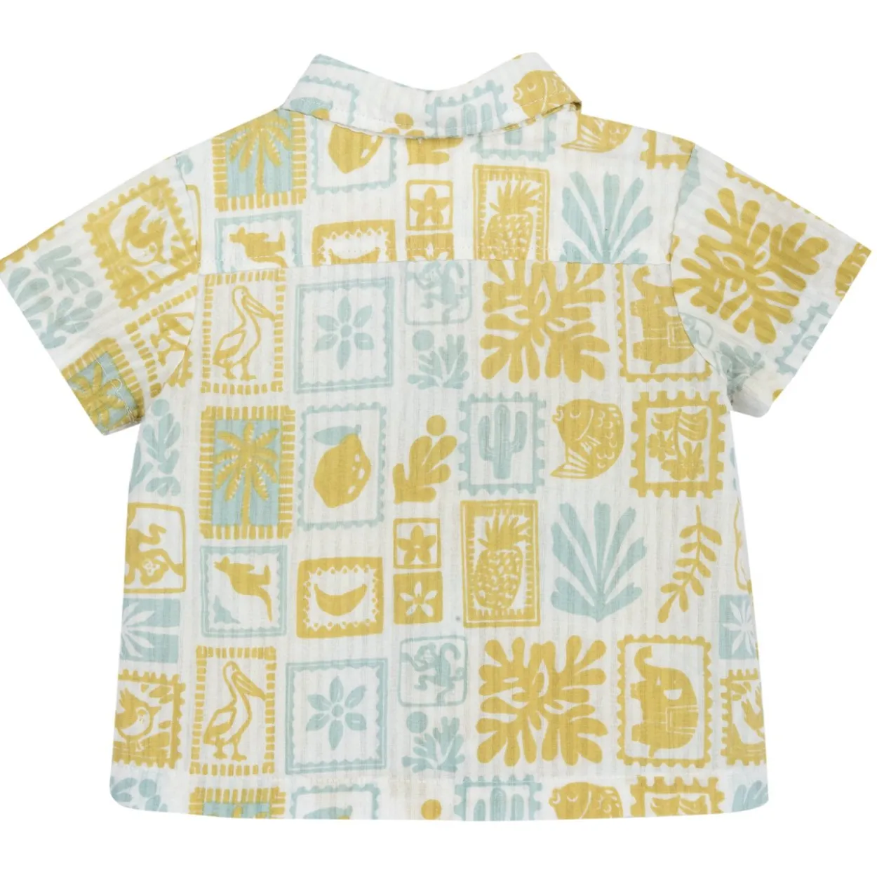Camicia manica corta