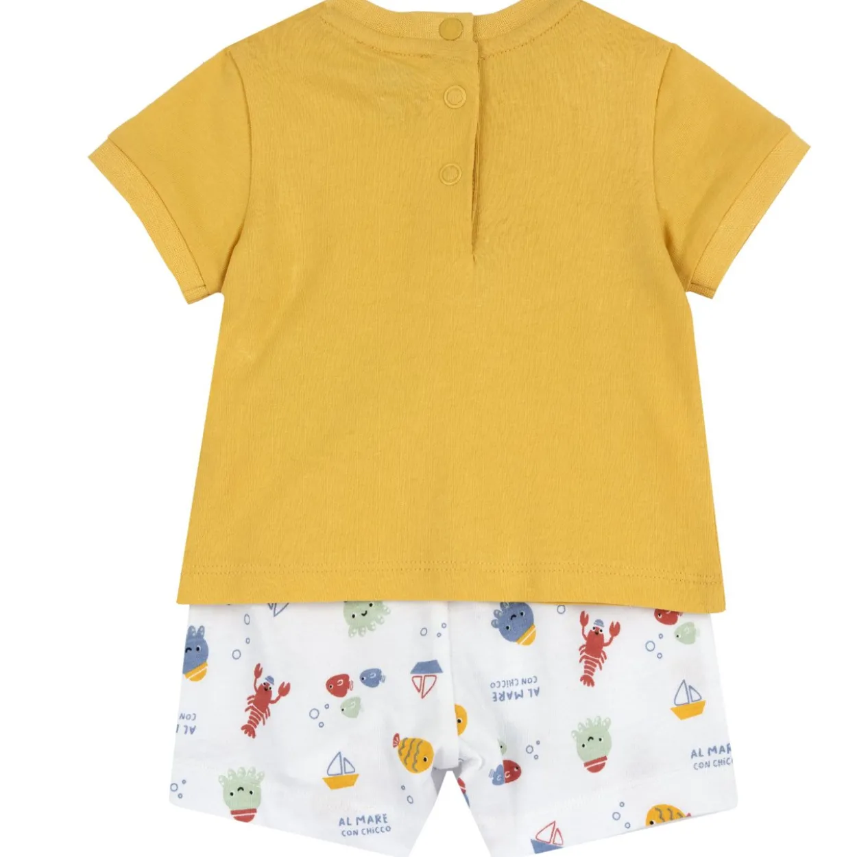 Completo maglietta manica corta con pantaloni corti