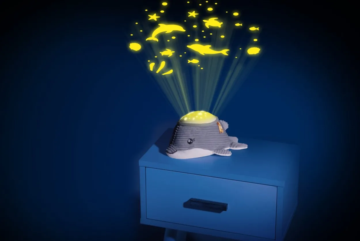 DELFINO DOLCE NOTTE