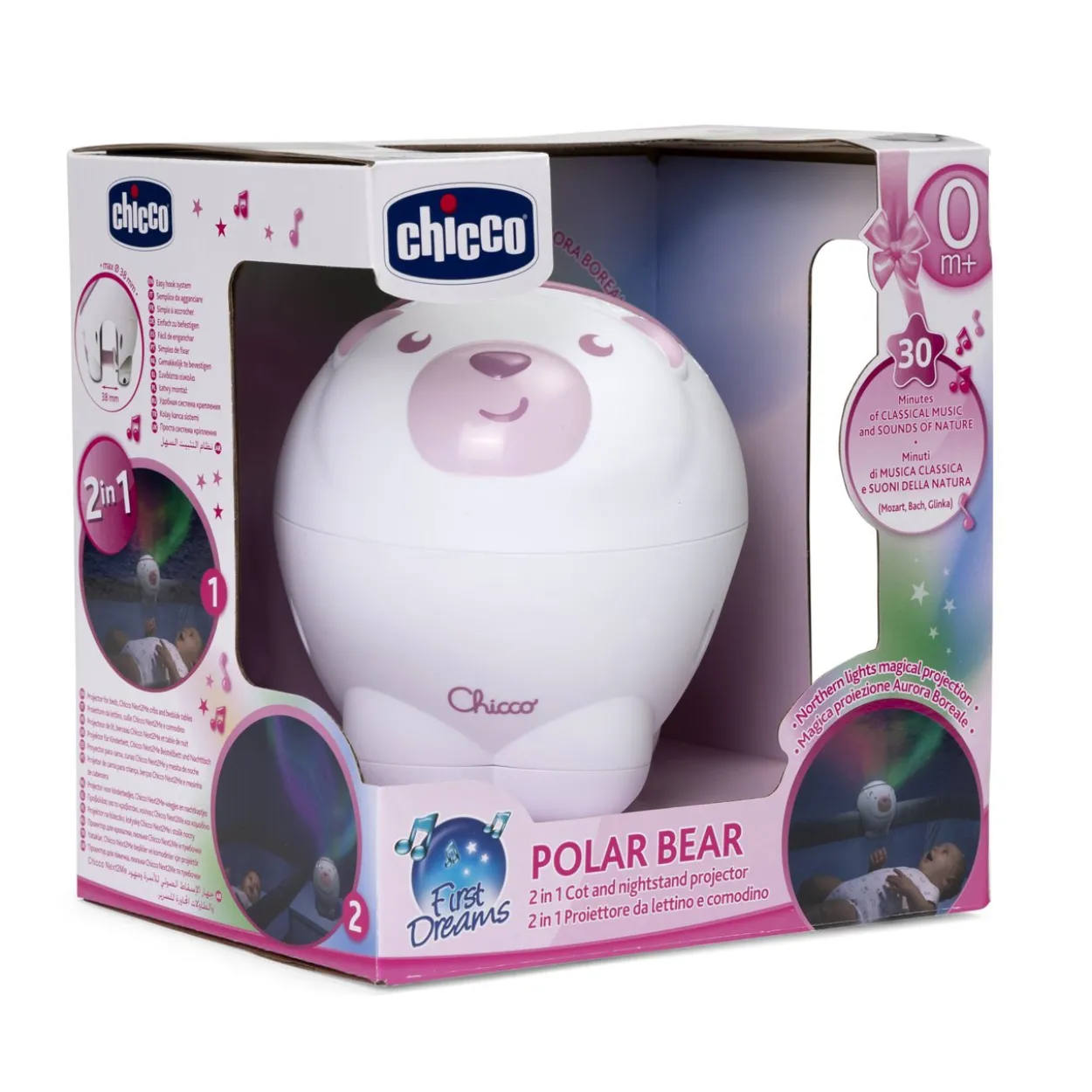 Orso Polare