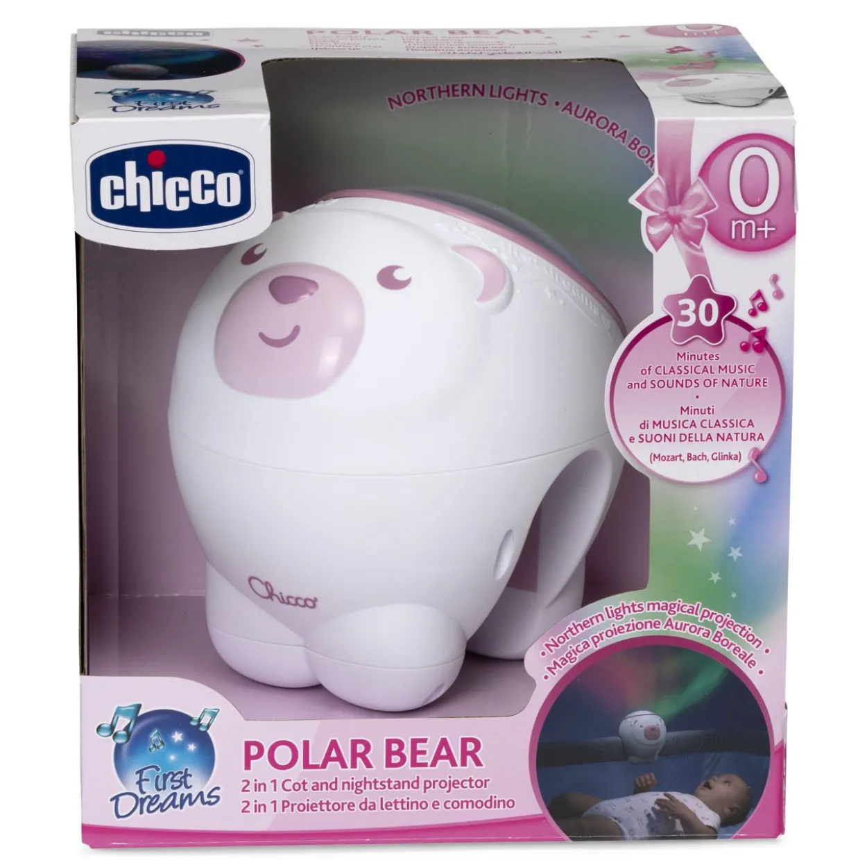 Orso Polare