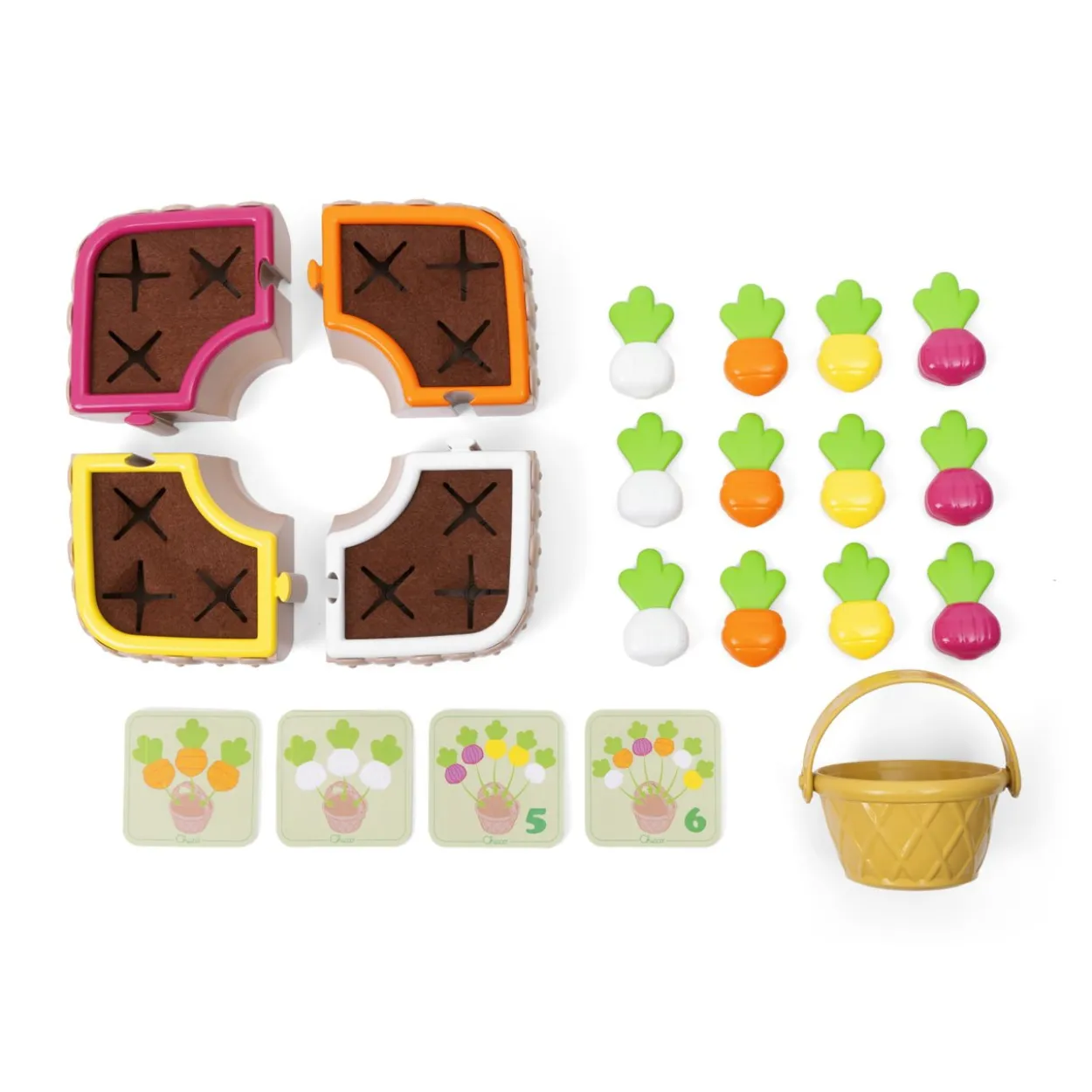 Orto