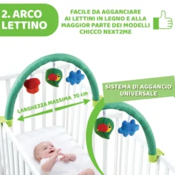 Palestrina Attività 3in1