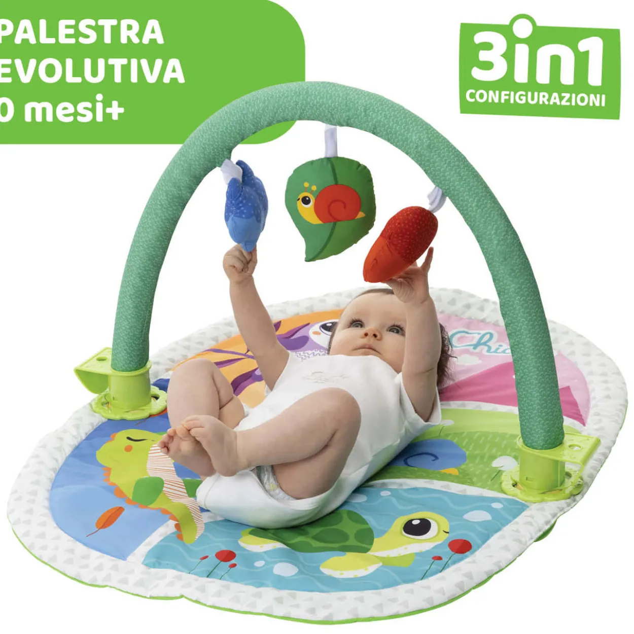 Palestrina Attività 3in1
