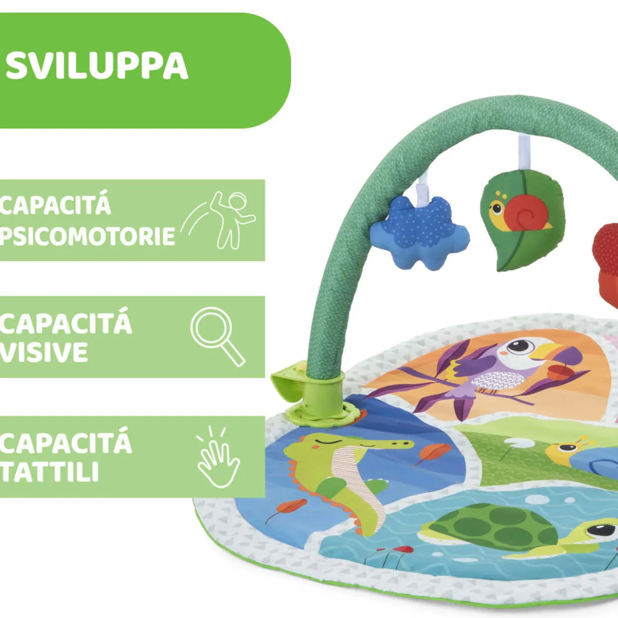 Palestrina Attività 3in1