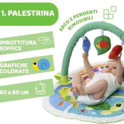 Palestrina Attività 3in1