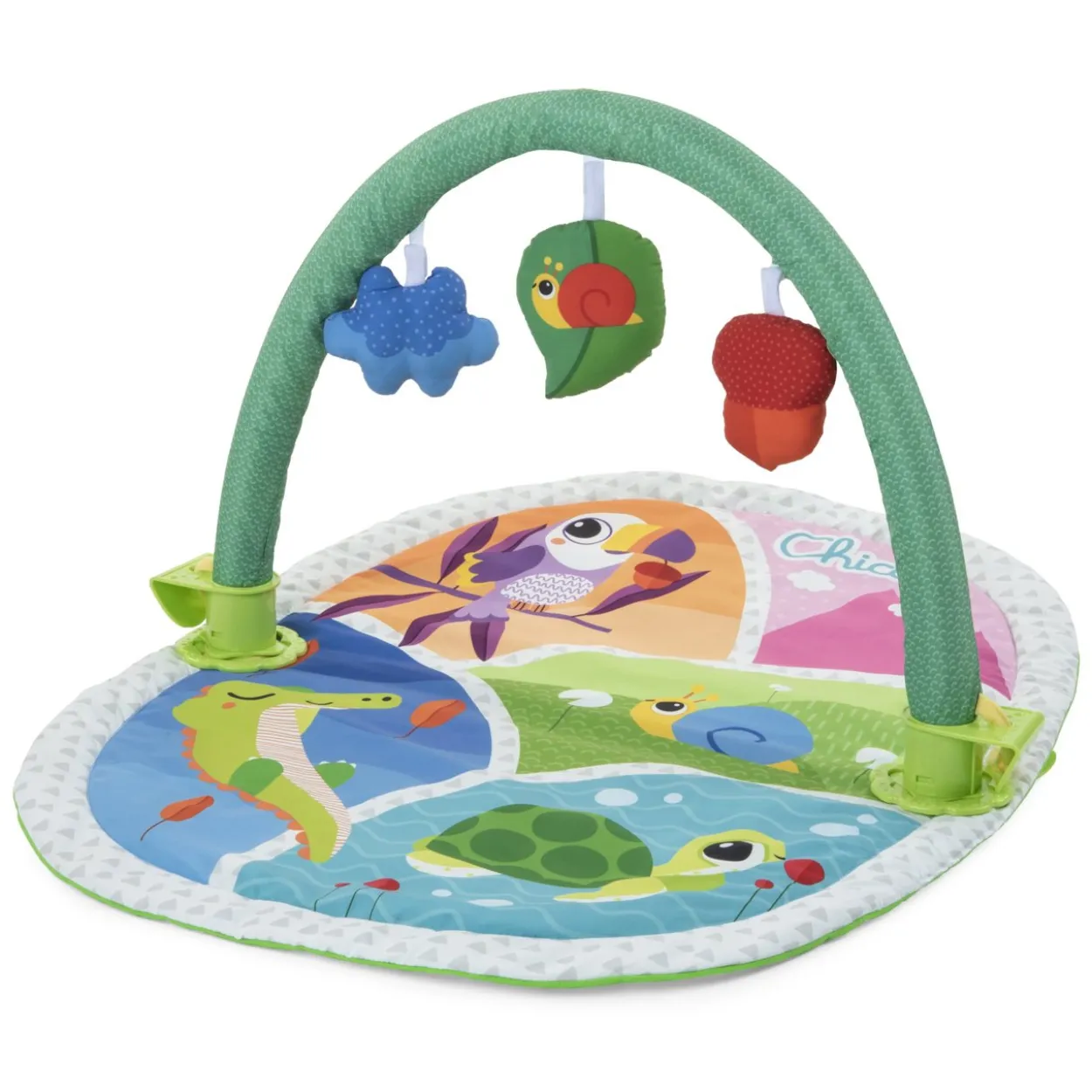 Palestrina Attività 3in1