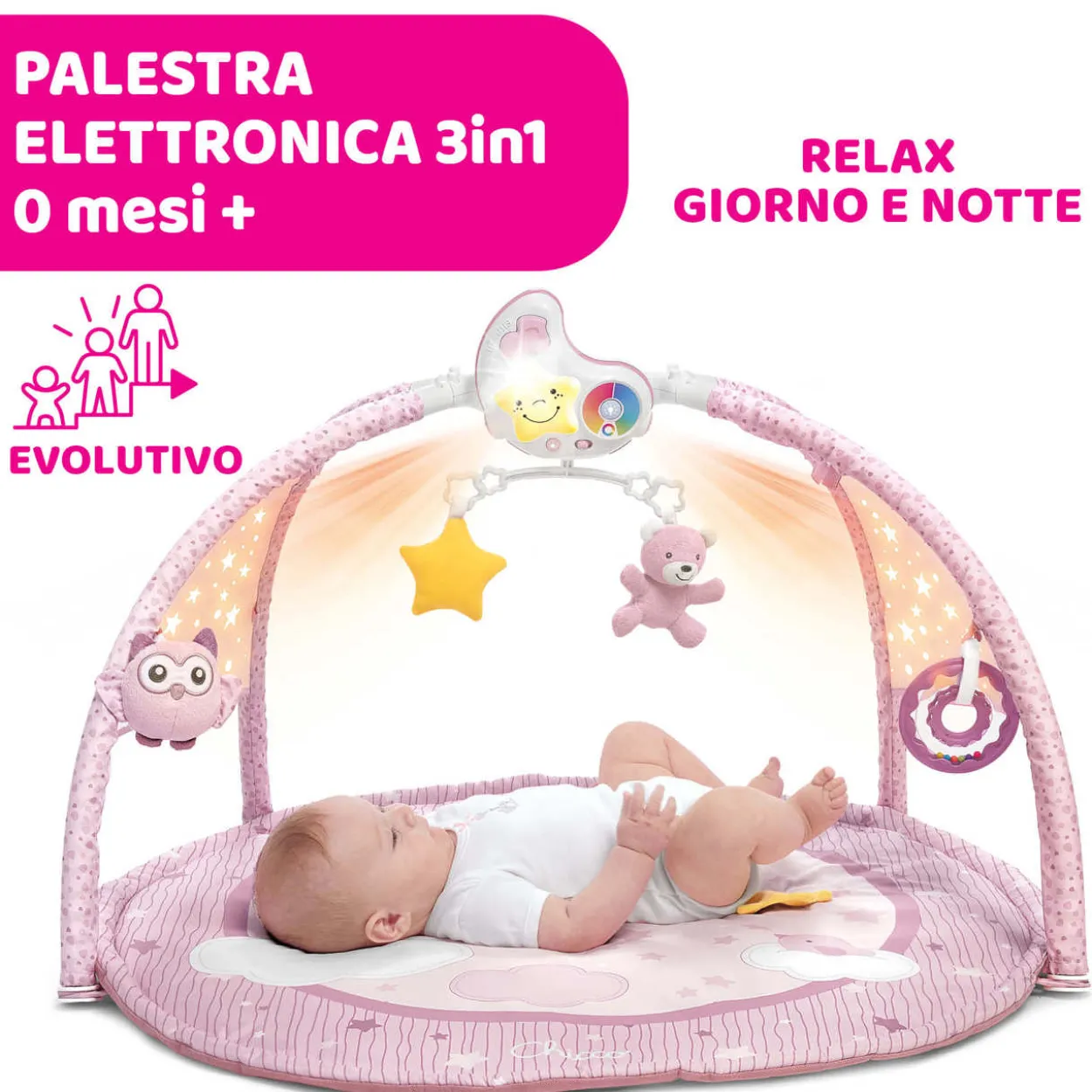 Palestrina dei Colori