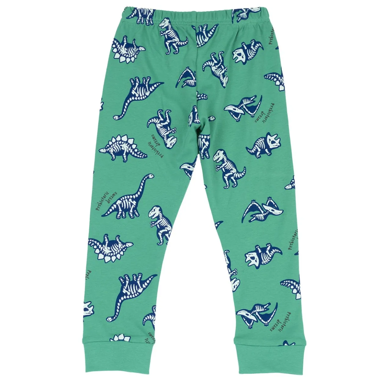Pantaloni pigiama fantasia dinosauri