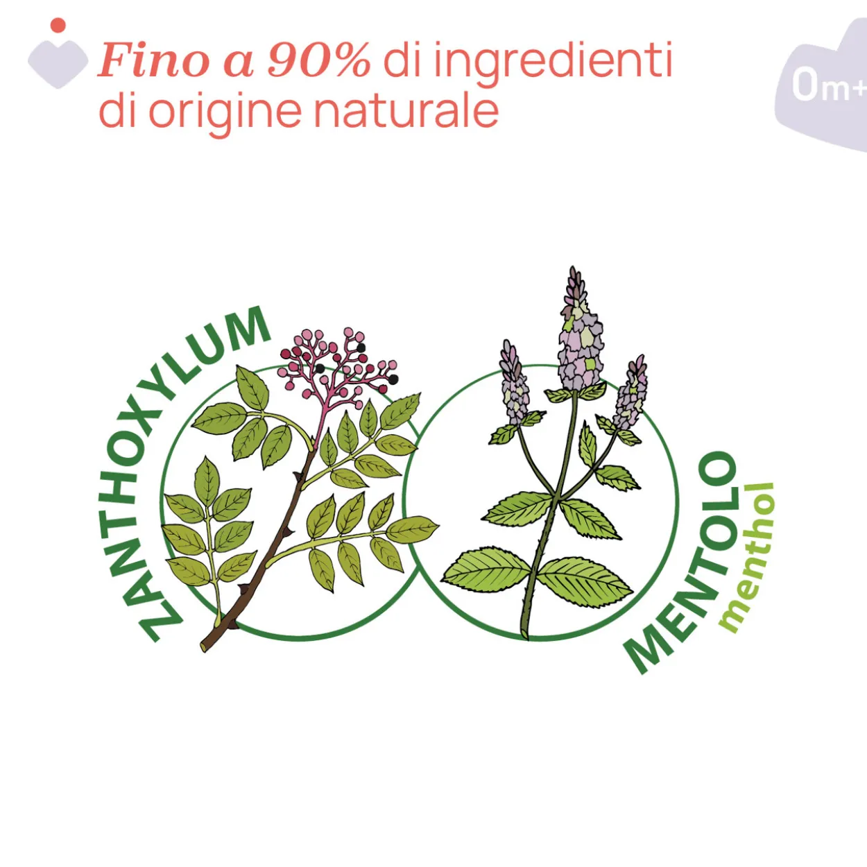 Penna dopo puntura 10ml
