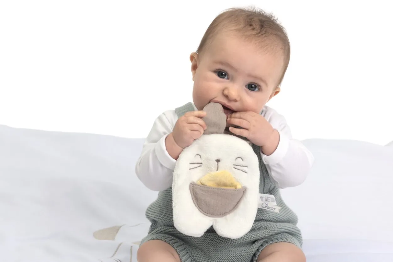 POCKET BUNNY DOUDOU