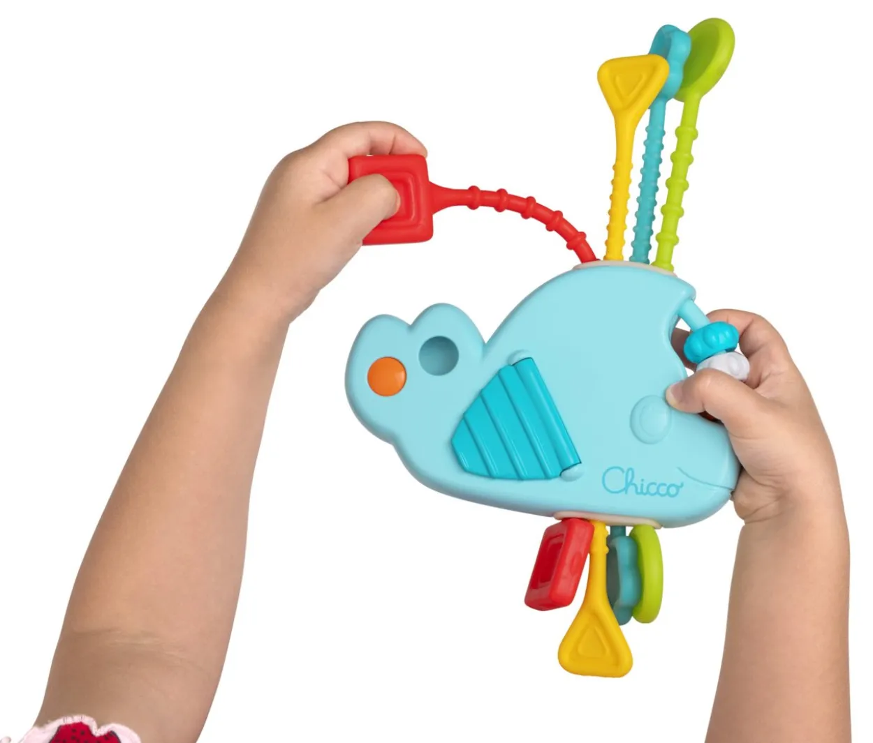 PULL STRING BALENA