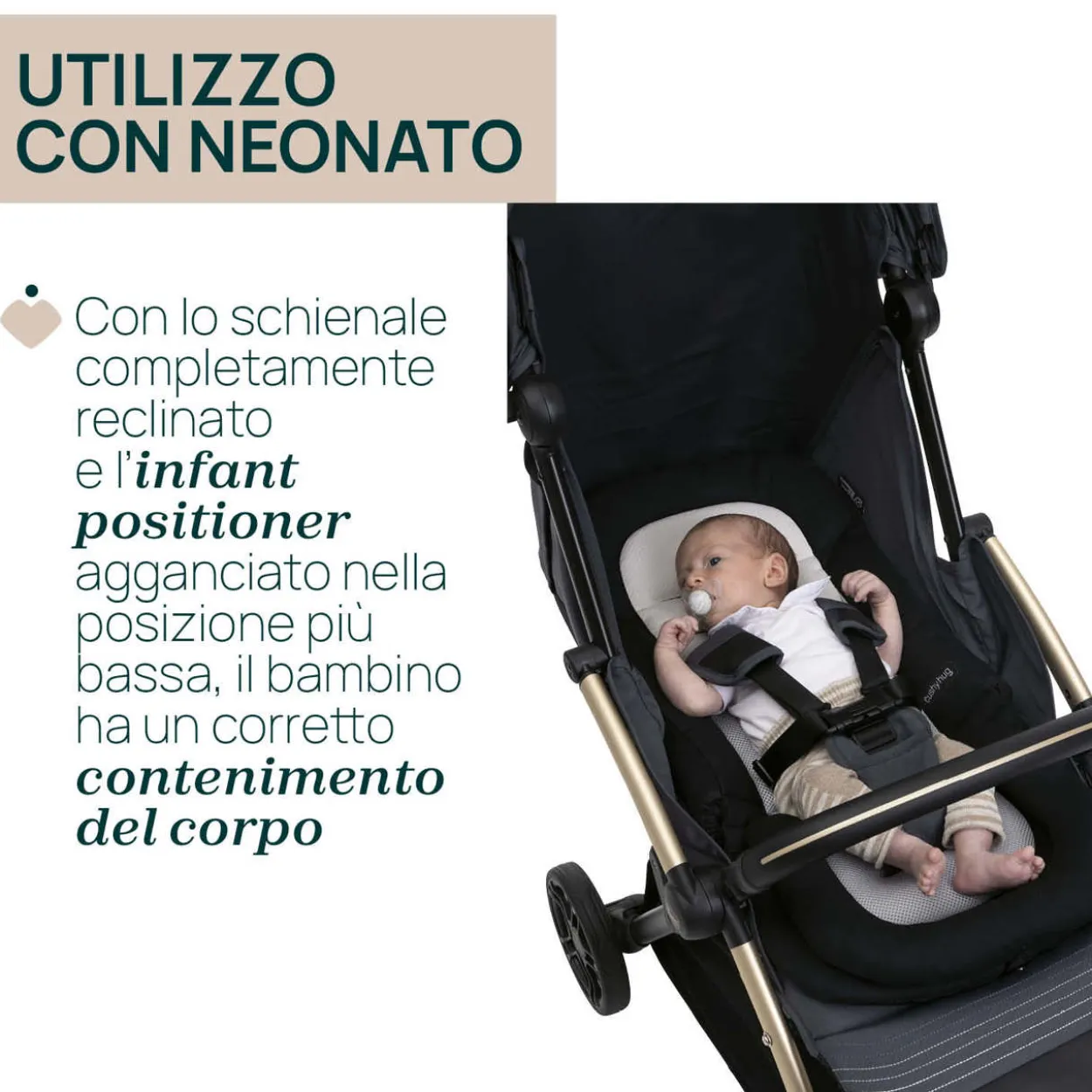 Riduttore Cushy Hug per passeggino Goody XPlus