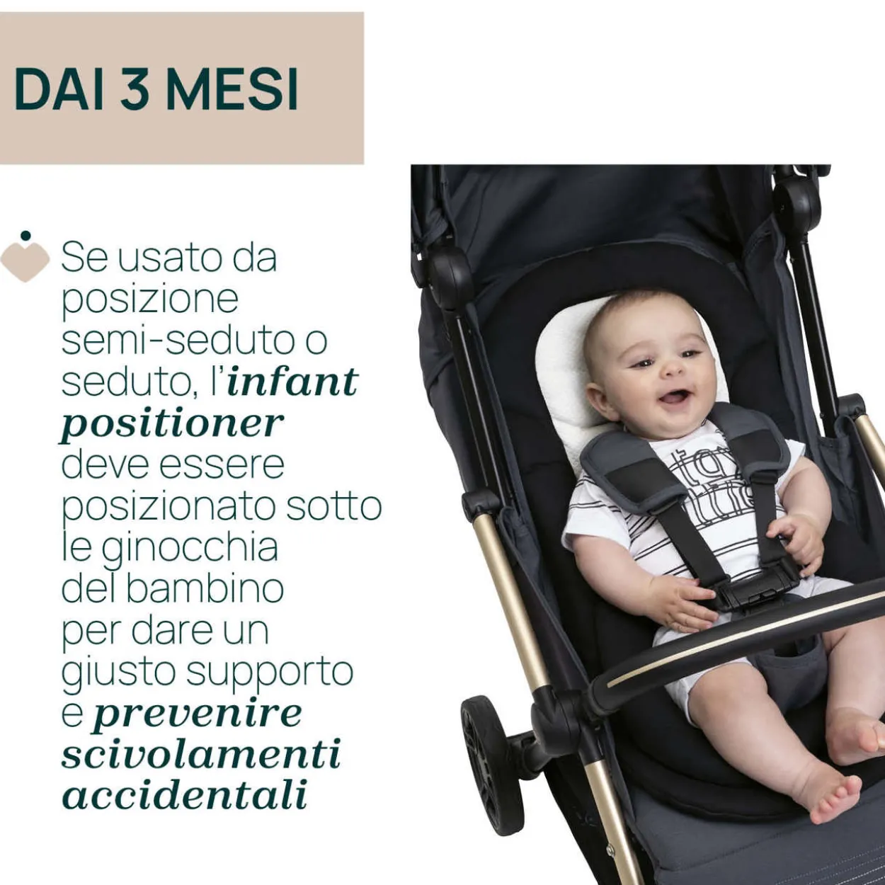 Riduttore Cushy Hug per passeggino Goody XPlus
