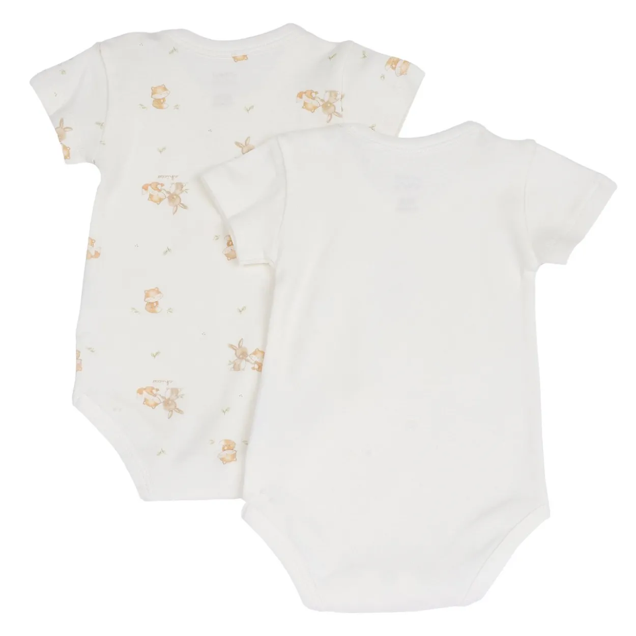 Set body intimo