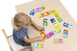 Set da gioco Domino