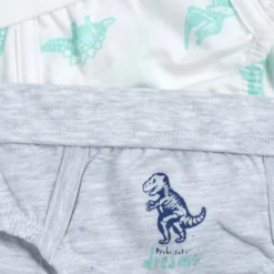 Set intimo slip Dinosauro