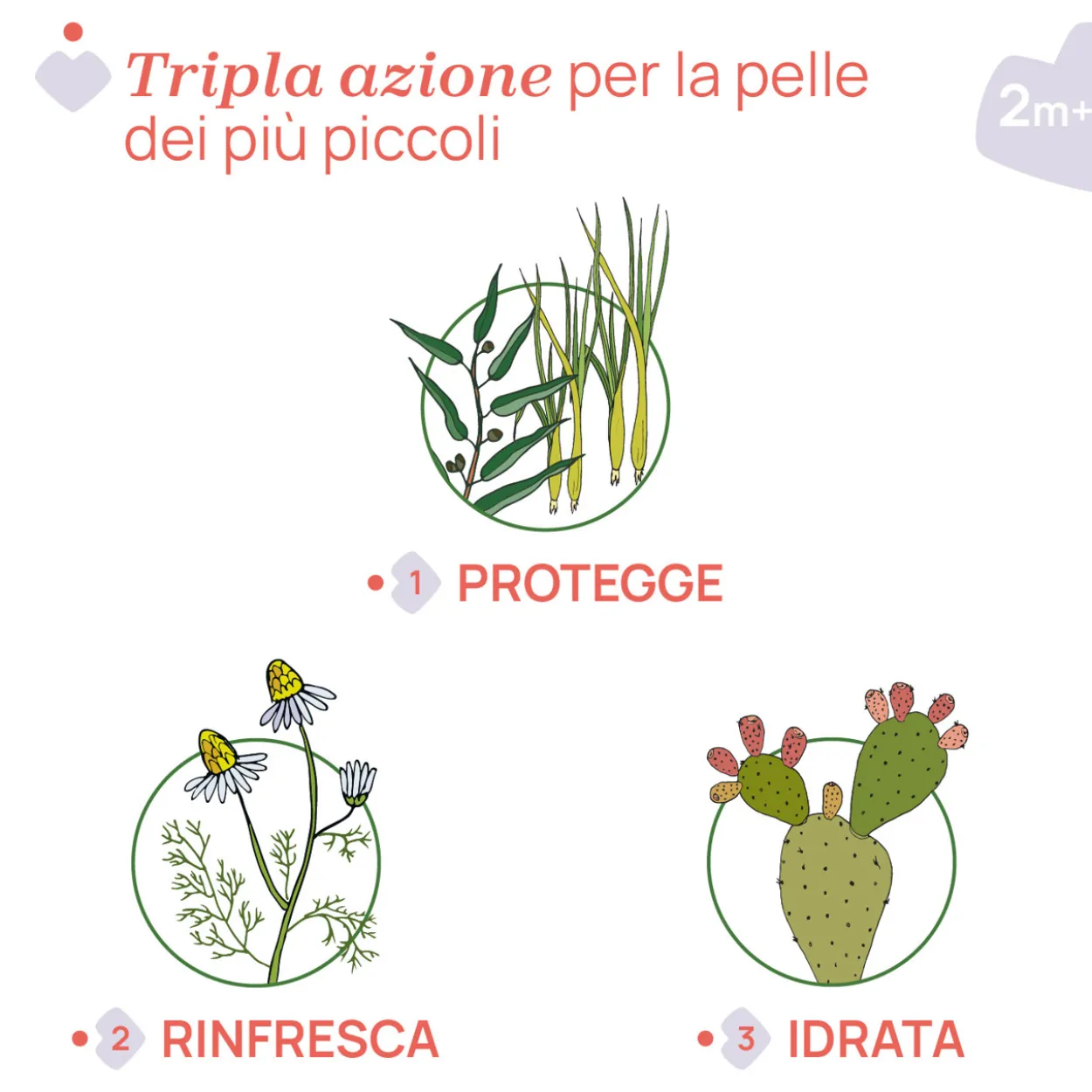 Spray NaturalZ Protettivo & Rinfrescante 100ML