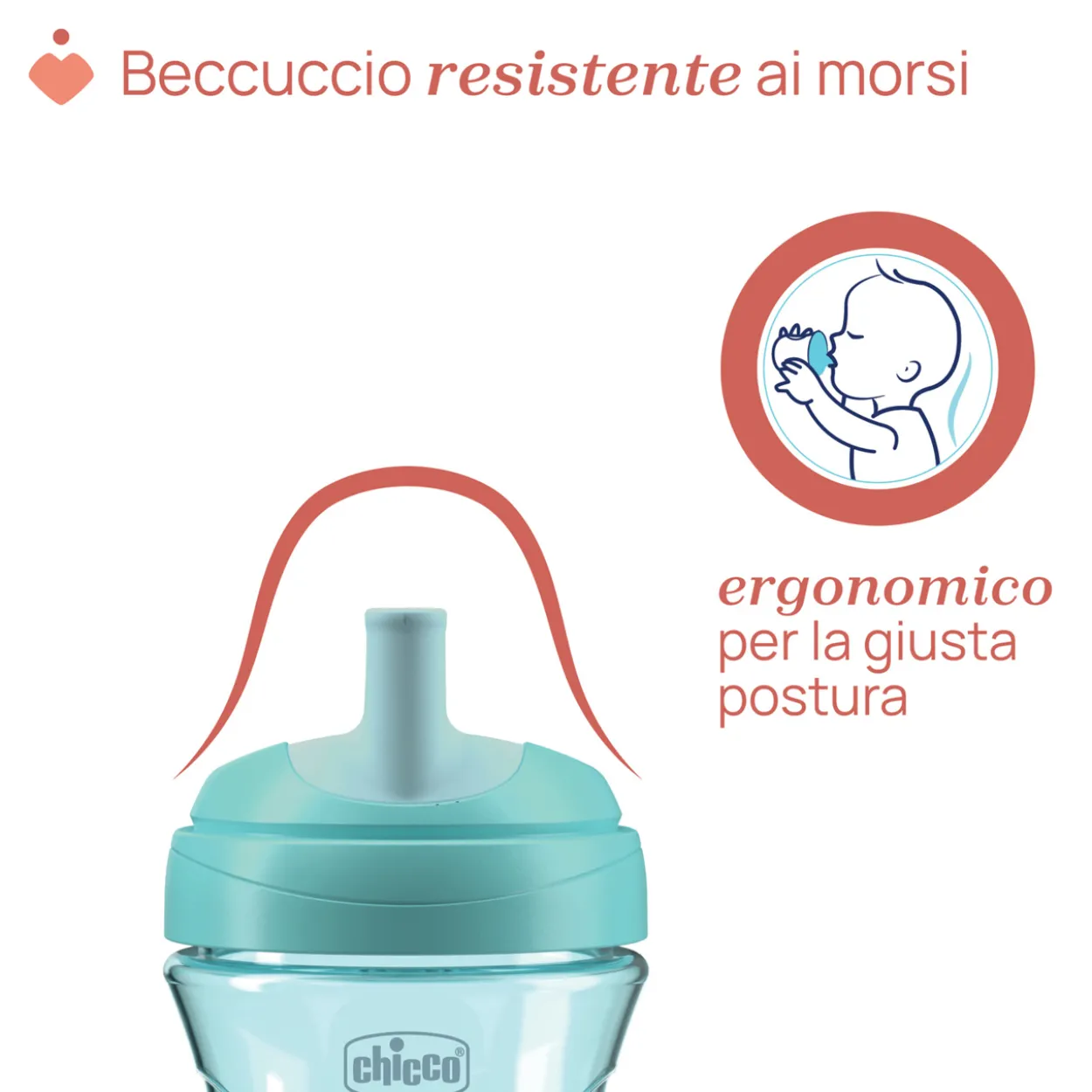 Tazza Advanced 12M+