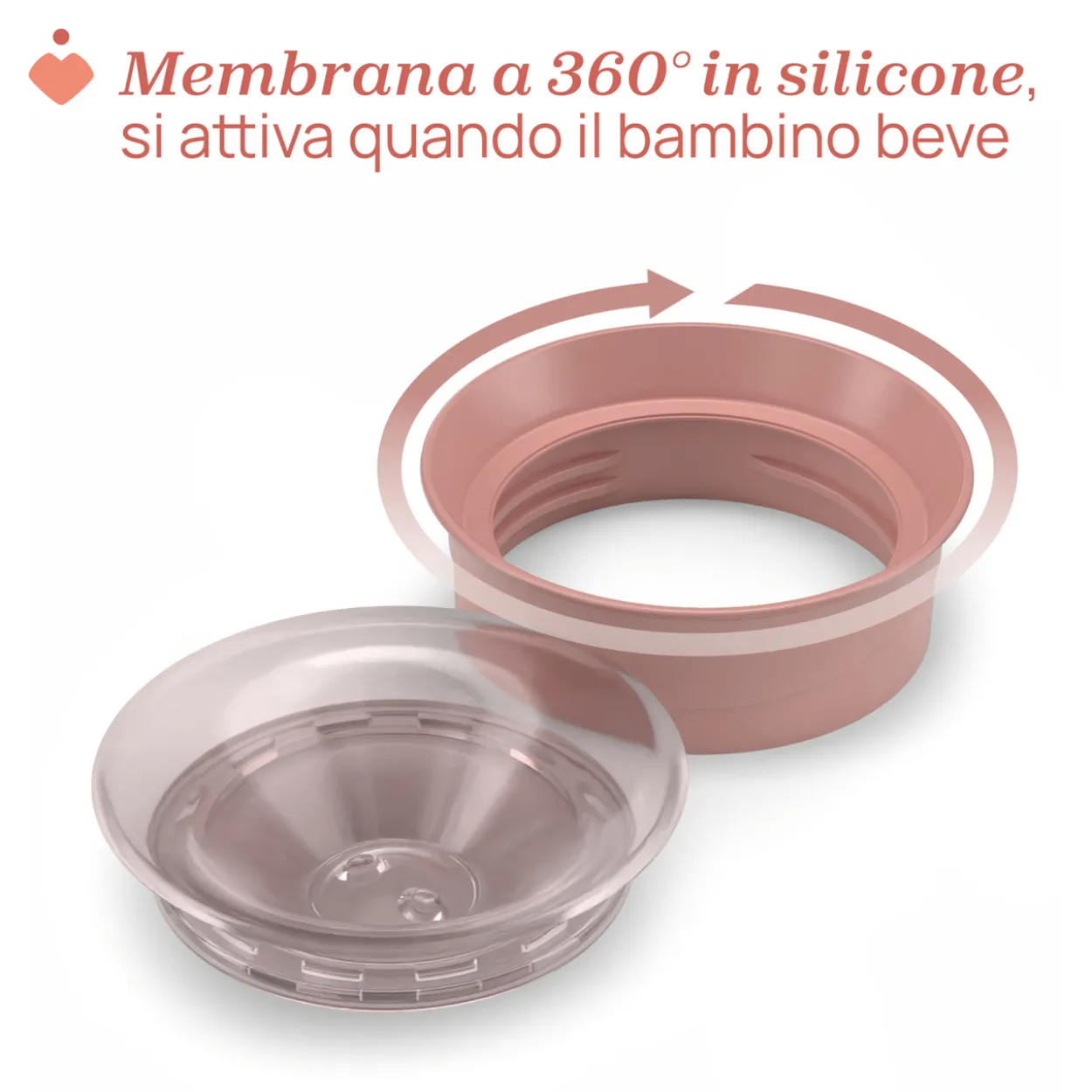 Tazza Perfect 12M+
