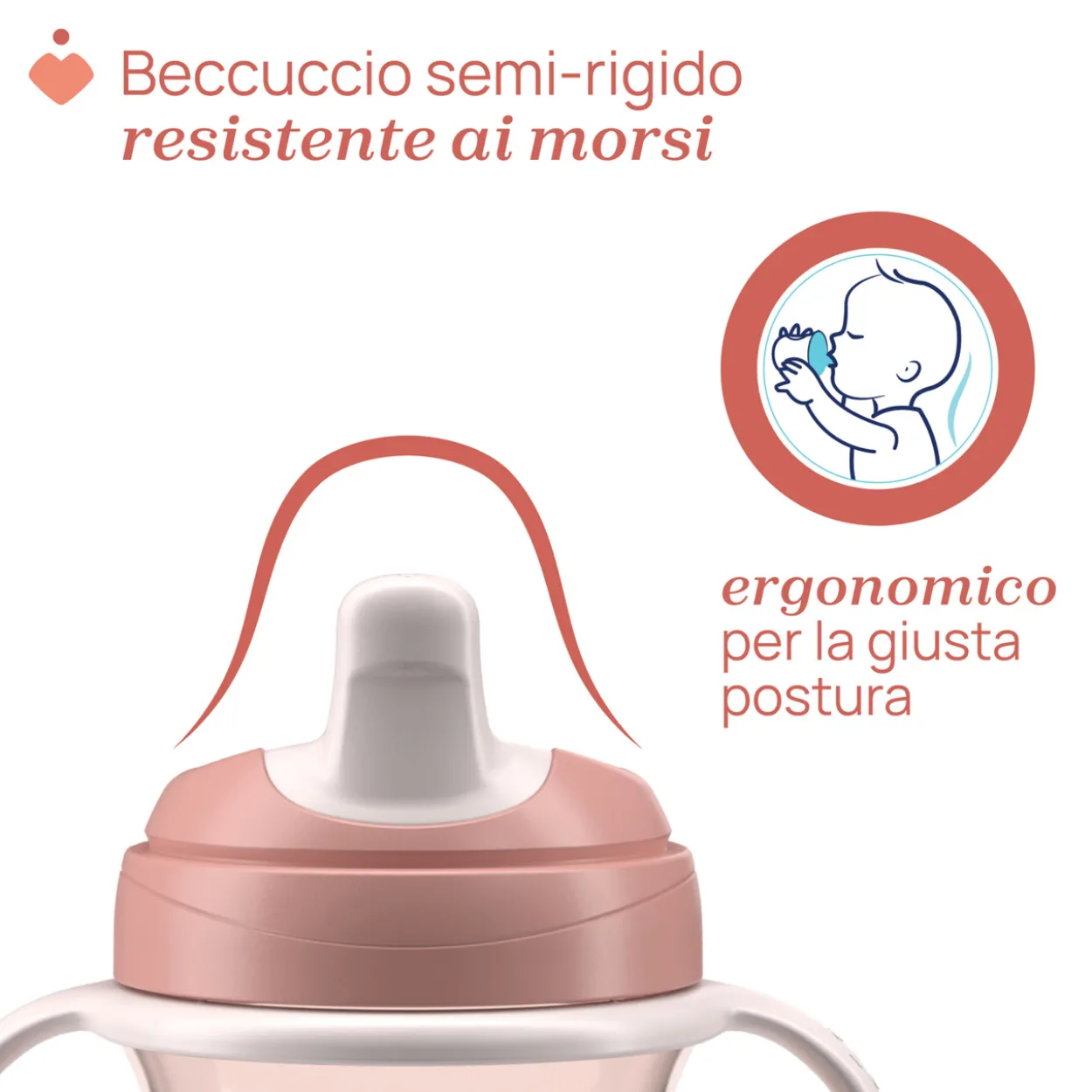Tazza Transition 4M+