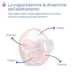 Tiralatte Elettrico Stimolatte